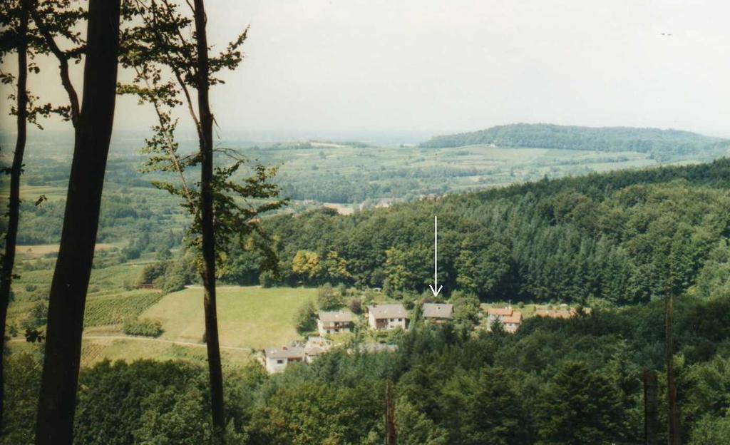 Ferienwohnung Unterschuetz Ettenheim Exterior photo